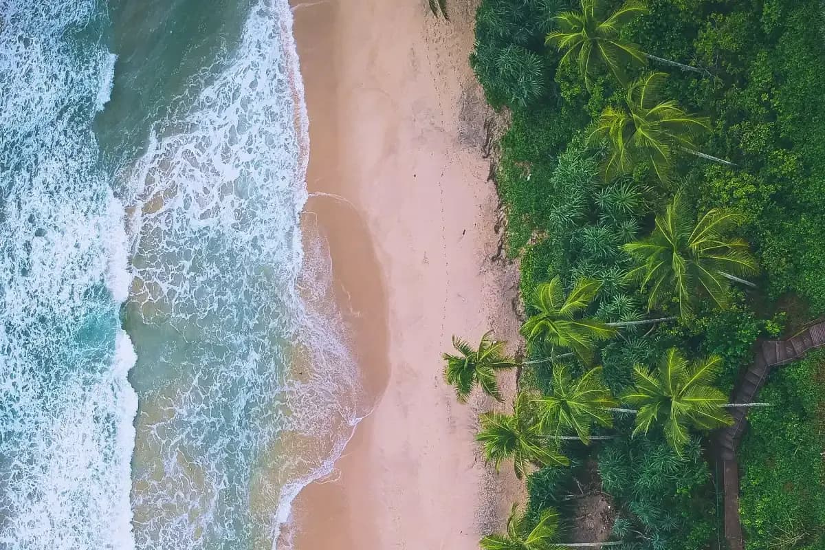 Coworking & Coliving next to the surf in Ahangama, Sri Lanka at Mellow Hostel - Ahangama