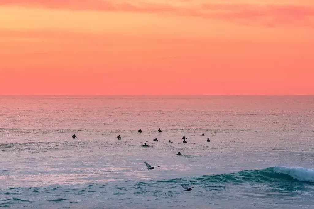 Coworking & Coliving by the Surf in Tenerife, Spain at Cactus Coliving & Coworking Tenerife