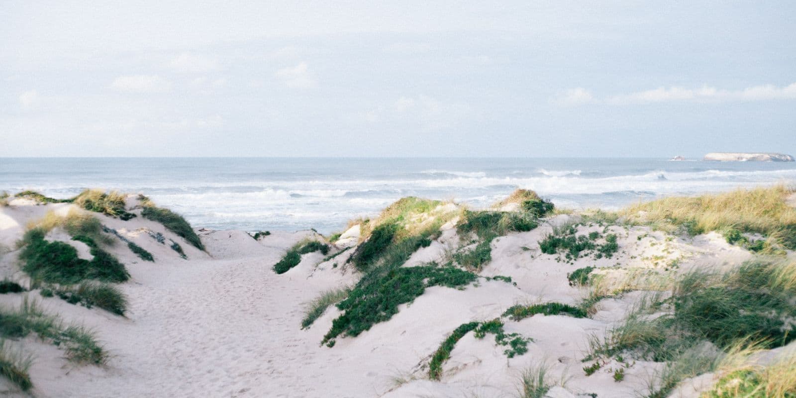 Coworking and Coliving in Baleal, Peniche - Portugal at Mysa Baleal