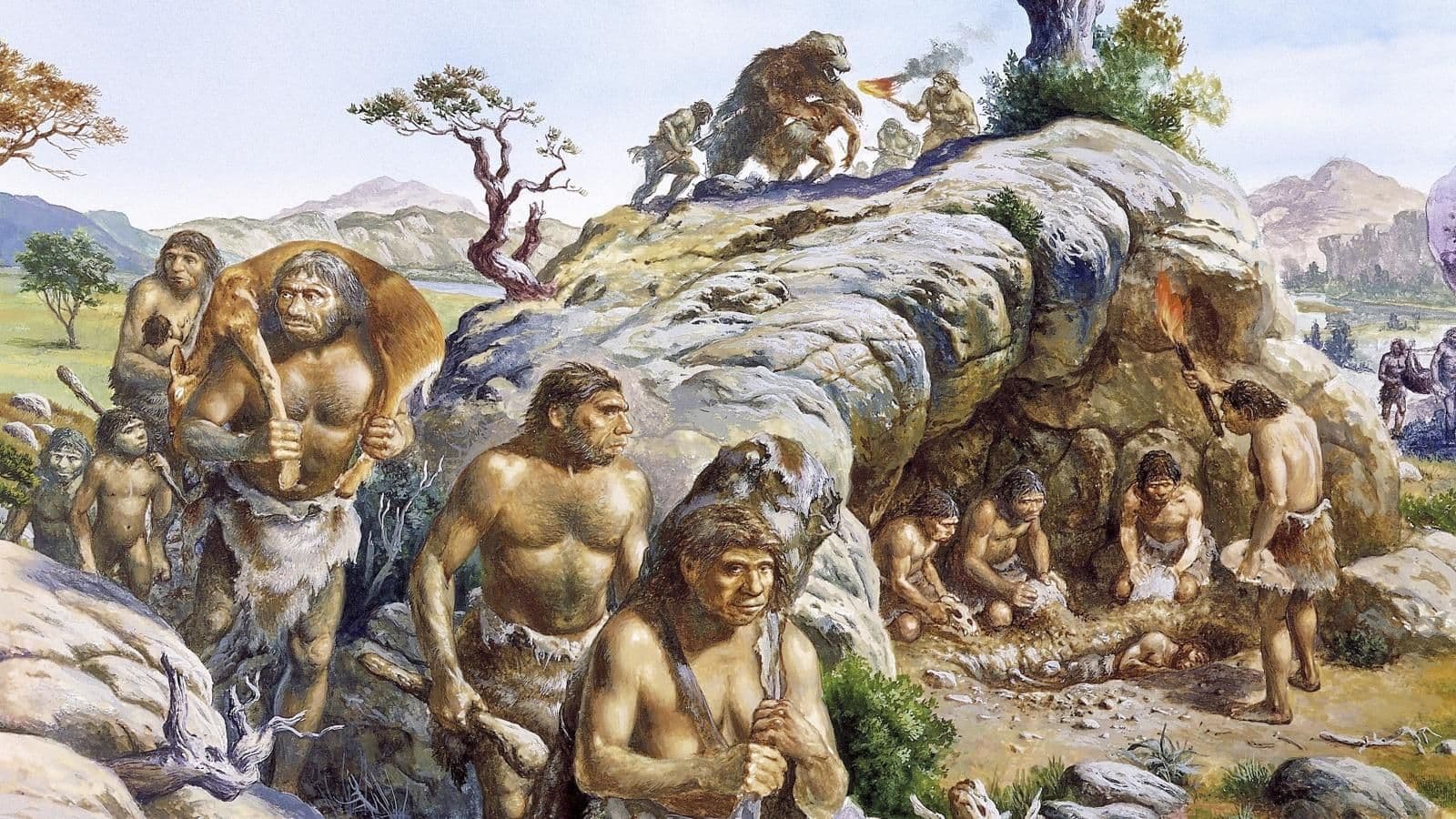 The 6 Million Year History of Coliving - Cover Image