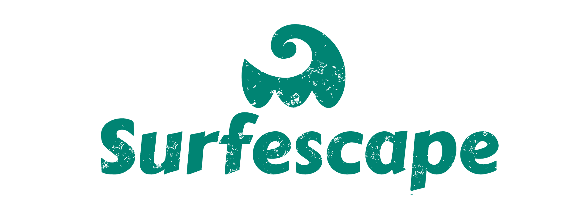 Host Profile Picture