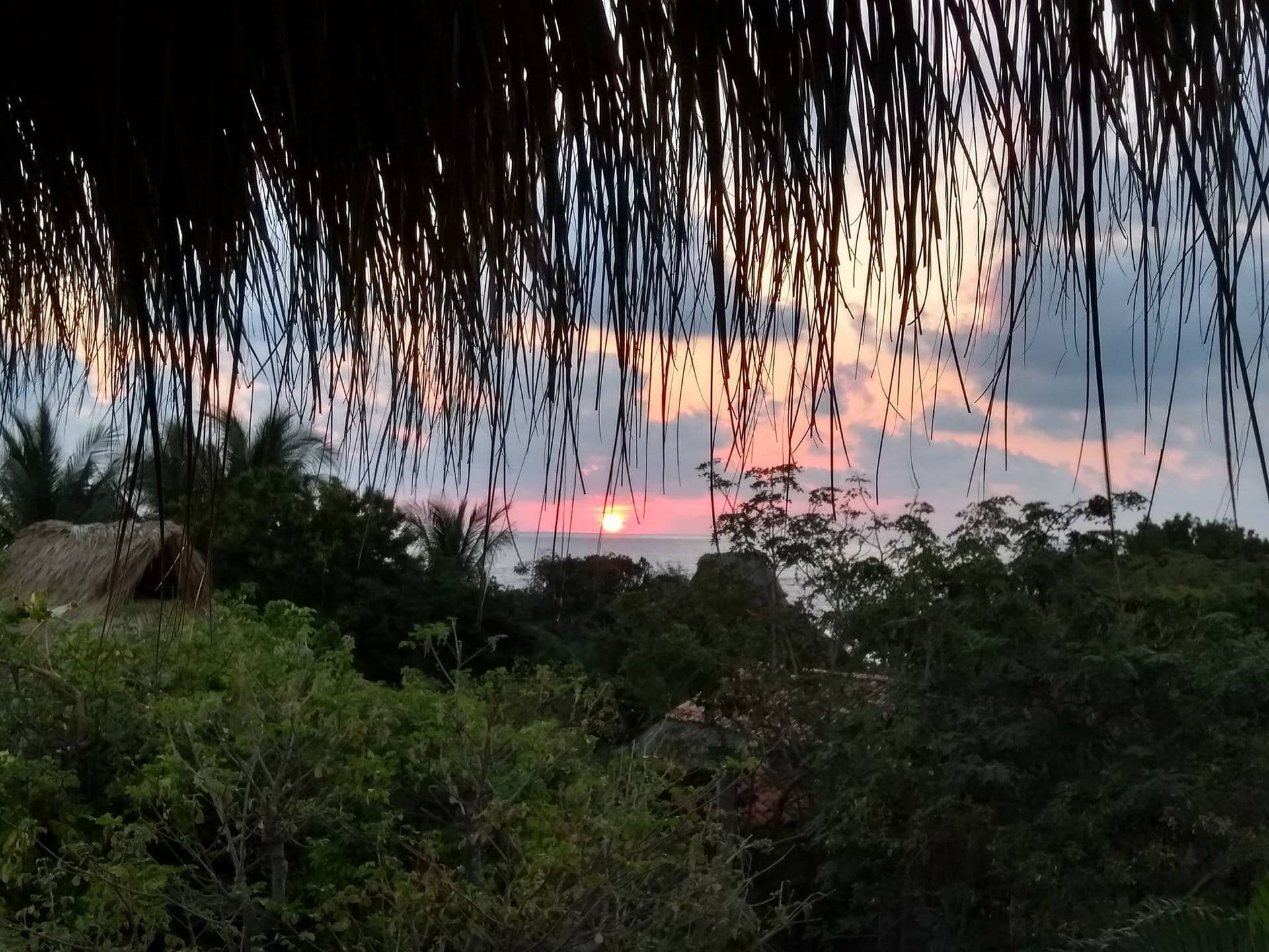 Host Profile Picture