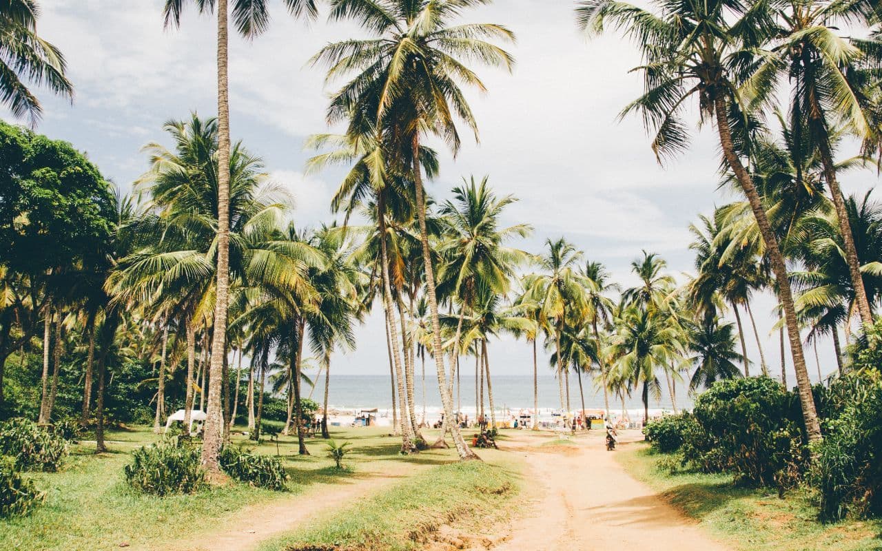 Itacaré (Brazil) - Card Background Image