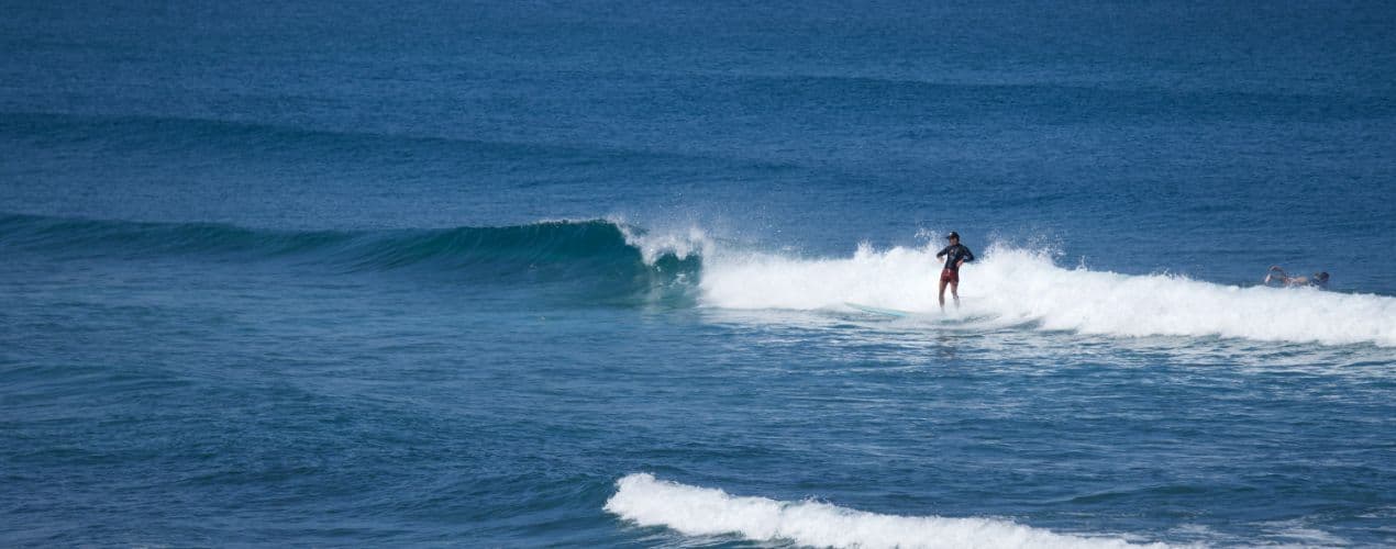 Jinzun (Taiwan) - Card Background Image