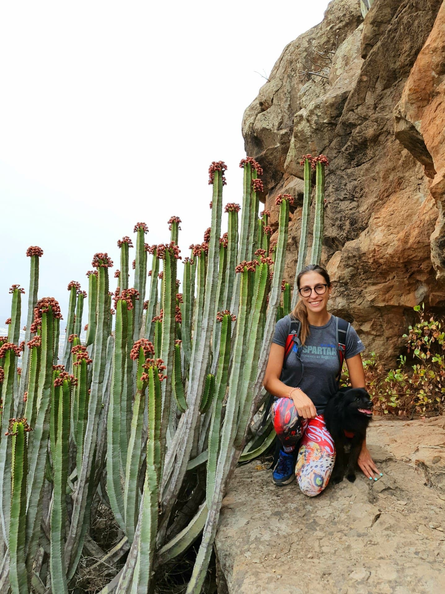 Host Profile Picture