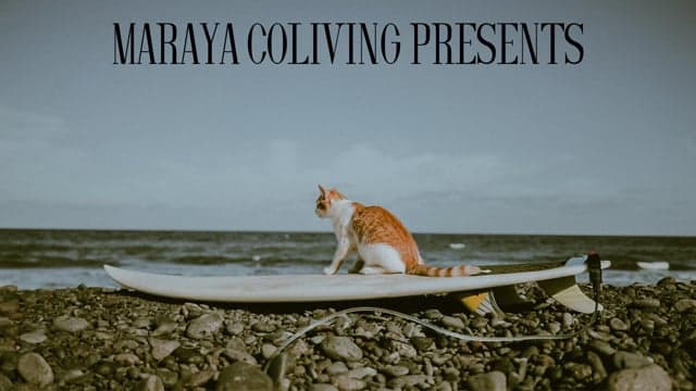 video play button image